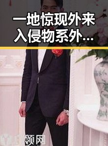 一地惊现外来入侵物系外来入侵物种引发关注,男子剔牙时不小心戳破牙龈陷入紧急抢救