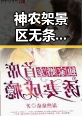 神农架景区无条件自由通行引发热议 郑州发布大风蓝色预警影响多地出行