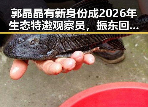郭晶晶有新身份成2026年生态特邀观察员,振东回应未来有意当解说员引热议